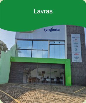 Lavras