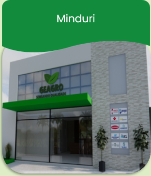 Minduri